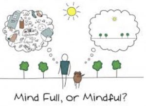 mindful_dog